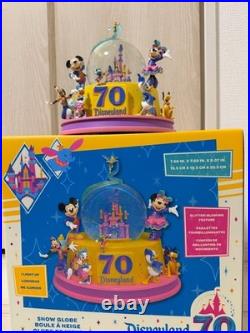 California Disneyland 70th Anniversary Snow Globe Disney Spring Lottery