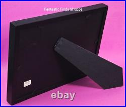 Disney Disneyland 50th Anniversary Retro Shag Marquee Framed Pin Set Attractions Disney Disneyland 50th Anniversary Retro Shag Marquee Framed Pin Set Attractions