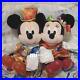 Disneyland_40Th_Anniversary_Grand_Finale_Mickey_Minnie_Plush_Accessories_Include_01_ktn