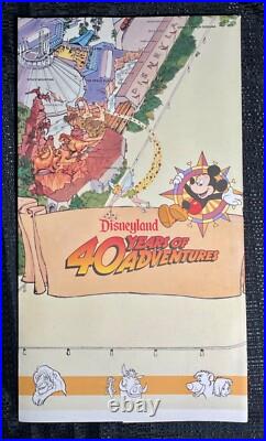 Disneyland 40th Anniversary Park Map & Birthday Hat Park Souvenir, & more