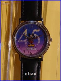 Disneyland 45Th Anniversary Wristwatch Wdw Minnie Mouse Usa