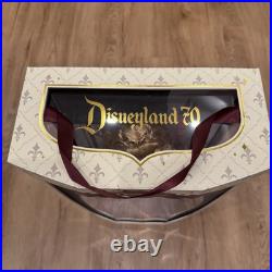 Disneyland 70th Anniversary Aurora Limited Edition Doll New 2025 Disneyland 70th Anniversary Aurora Limited Edition Doll New 2025