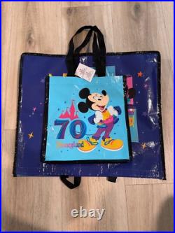 Disneyland 70th Anniversary Headband, collectible pins, and two tote bags Disneyland 70th Anniversary Headband, collectible pins, and two tote bags