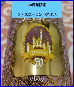Disneyland 70th Anniversary Starbucks Tumbler Limited Edition Collectible Cup