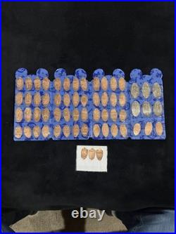 Disneyland Diamond 60th Anniversary Pressed Penny Set In Book Holder with 60 coins