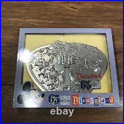 Disneyland Park 65th Anniversary Park Map Limited Edition Boxed Jumbo Pin