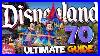 Everything_You_Need_To_Know_About_Disneyland_S_70th_Anniversary_Ultimate_Guide_01_udv