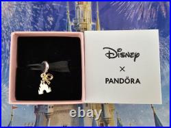New 2025 Disneyland 70th Anniversary Castle Dangle Disney X Pandora Charm New 2025 Disneyland 70th Anniversary Castle Dangle Disney X Pandora Charm