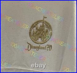 New 2025 Disneyland 70th Anniversary Celebration Castle Spirit Jersey ALL SIZES New 2025 Disneyland 70th Anniversary Celebration Castle Spirit Jersey ALL SIZES