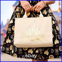 Sleeping Beauty Castle Woven Tote Disneyland 70th Anniversary NEW with Tags