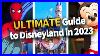 The_Ultimate_Guide_To_Disneyland_In_2023_01_wogg