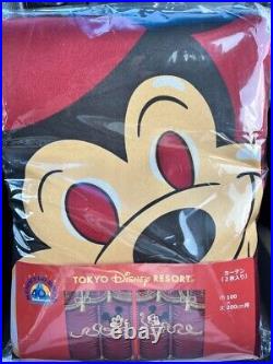 Tokyo Disneyland 40th Anniversary MEMORY-GO-ROUND curtains reprint goods