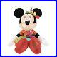 Tokyo_Disneyland_40th_Anniversary_Minnie_Mouse_Plush_Dream_Go_Round_Commem_NEW_01_gx