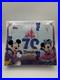 Topps_Disneyland_70th_Anniversary_Park_Exclusive_Hobby_Box_01_rjit